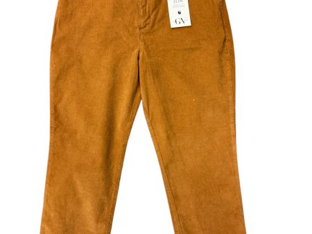 Pants Other By Gloria Vanderbilt In Yellow, Size: 14 Online Hot Sale